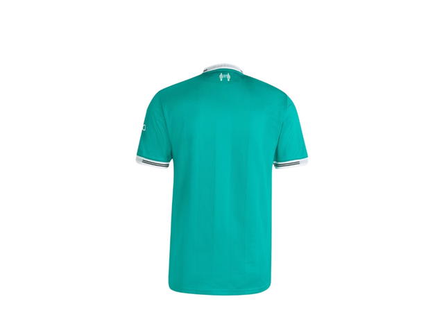 adidas adidas Liverpool 25/26 Player Grade Jersey Sea Green - view 2
