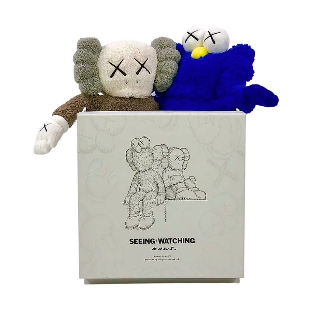 kaws---seeing-watching-limited