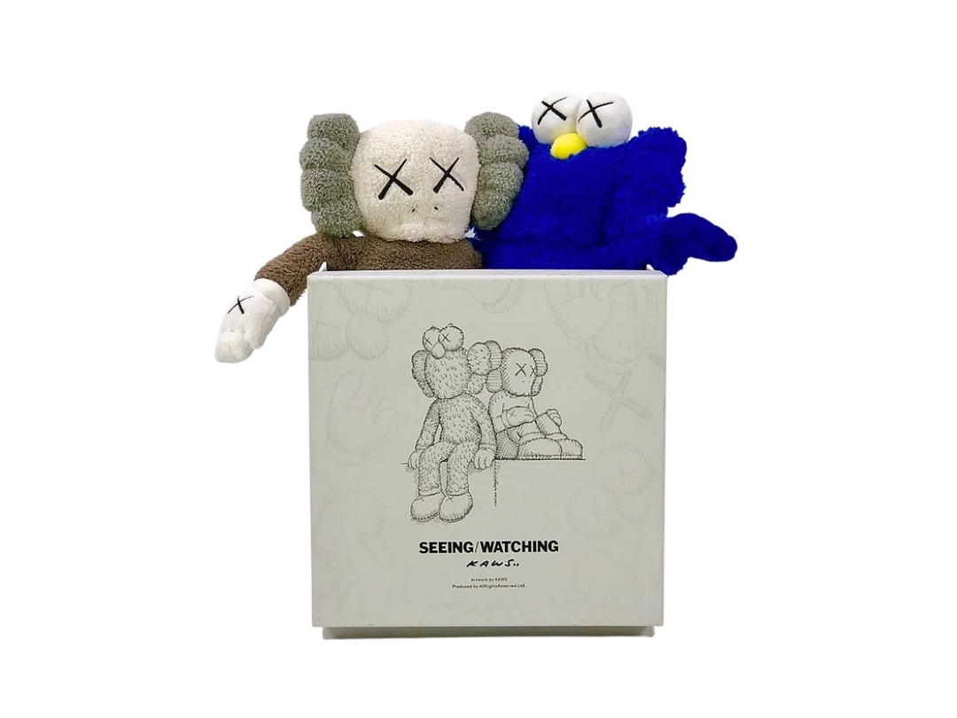 Kaws Kaws - Seeing Watching Limited Plush - 16 Inch