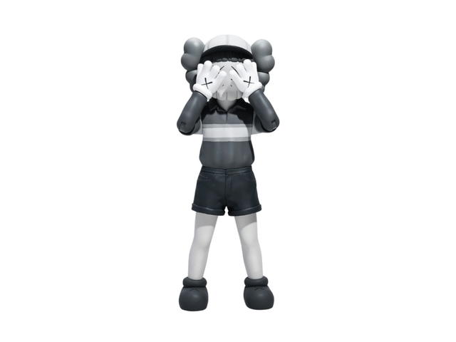 Kaws Kaws Chul-Su Figure (Monotone) - view 2