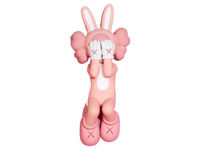 Kaws Kaws Holiday Indonesia 2023 Pink - view 1