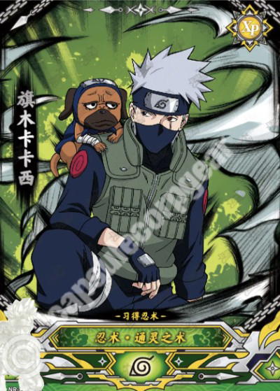 Kayou Kakashi Hatake
