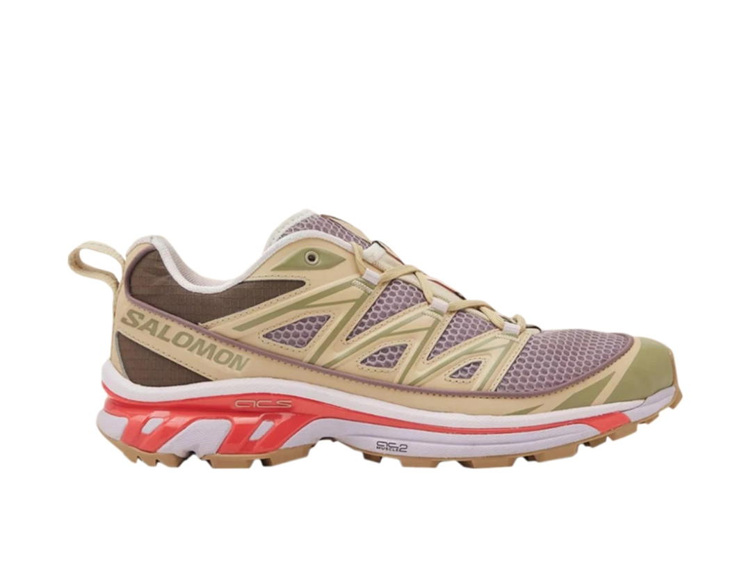 Salomon Salomon XT-6 Expanse size? Exclusive Annecy Hotel