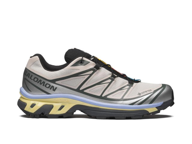 Salomon Salomon XT-6 Gore-Tex Silver Cloud Urban Chic Shadow Green - view 1