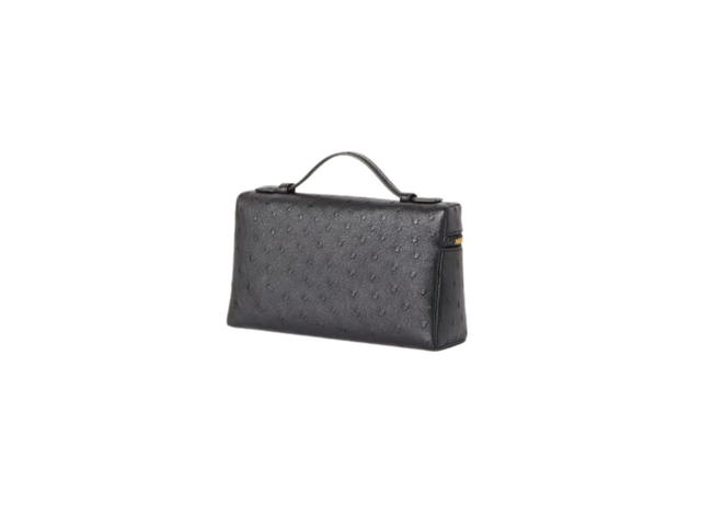 Loro Piana Loro Piana Extra Pocket L19 In Ostrich Leather With Golden Metal Hardware Black - view 2