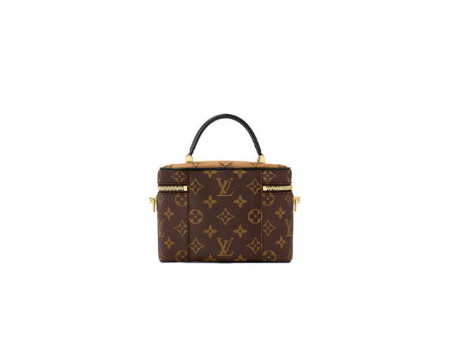 Louis Vuitton Louis Vuitton Vanity PM Shoulder Bag - view 3