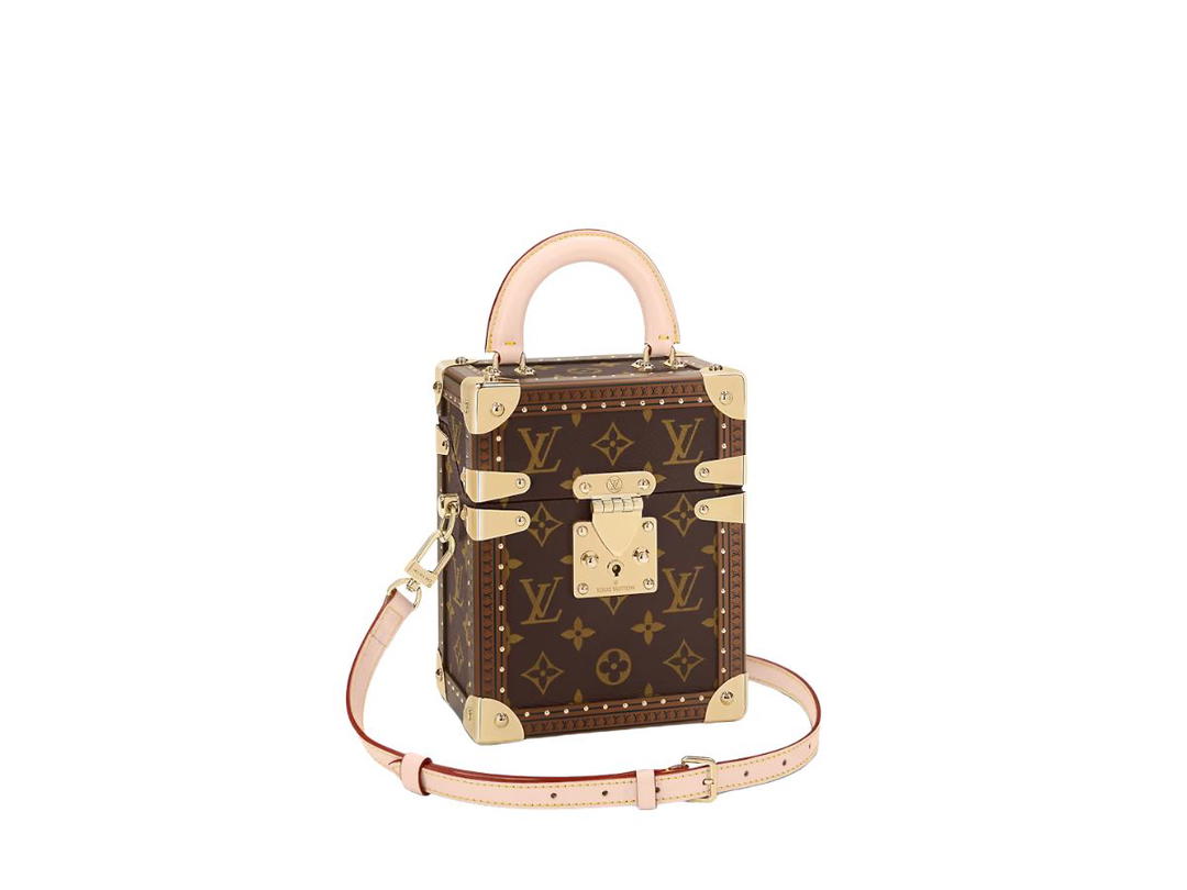 Louis Vuitton Louis Vuitton Camera Box Bag