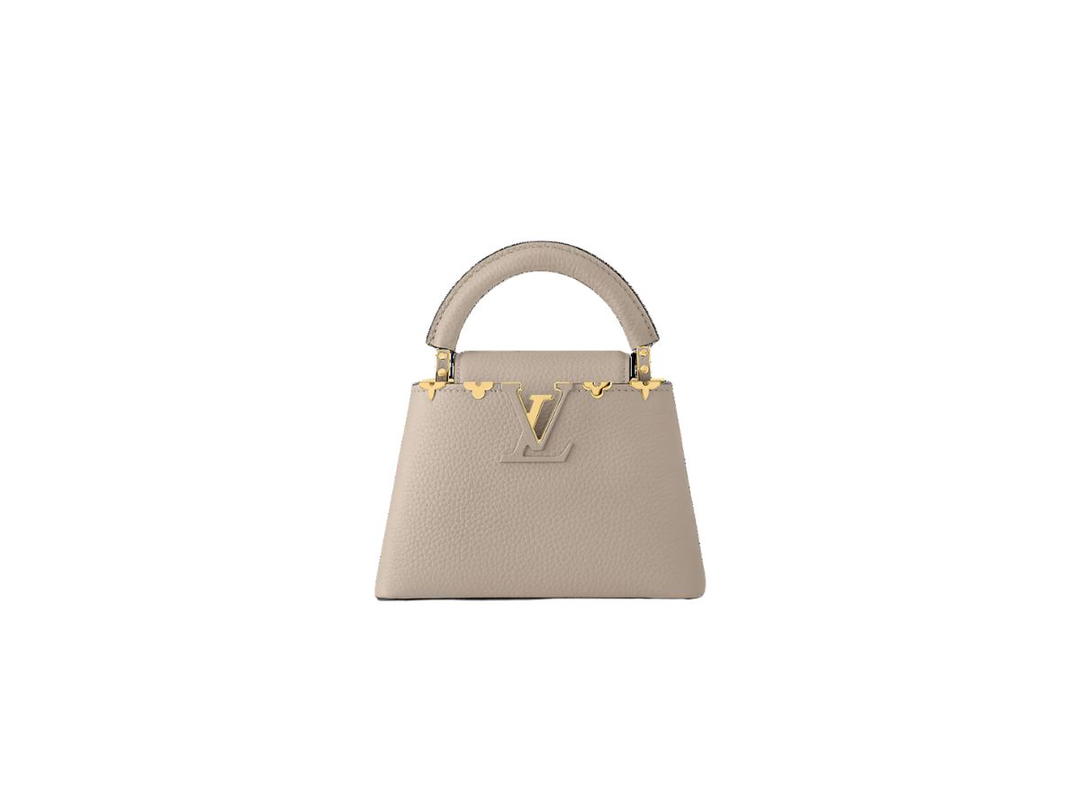 Louis Vuitton Louis Vuitton Capucines Mini Handbag