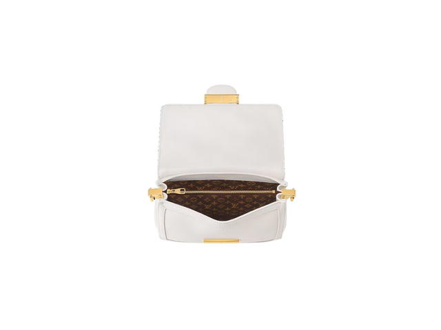 Louis Vuitton Louis Vuitton Dauphine Soft MM Shoulder Bag - view 3