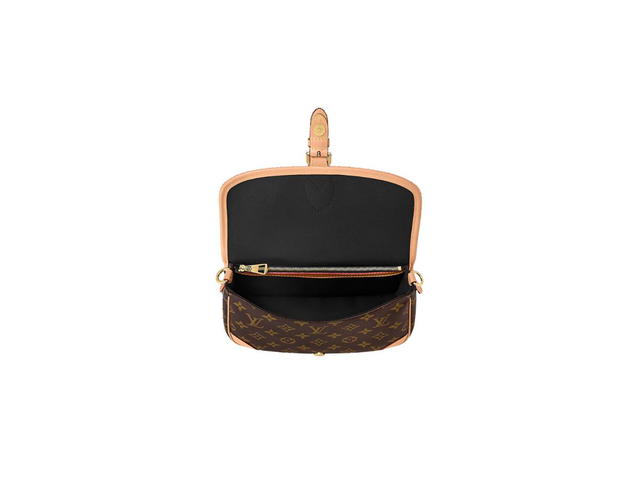 Louis Vuitton Louis Vuitton Diane Shoulder Bag - view 3