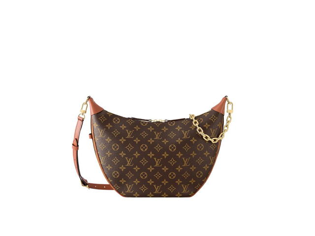 Louis Vuitton Louis Vuitton Loop Hobo Bag - view 1