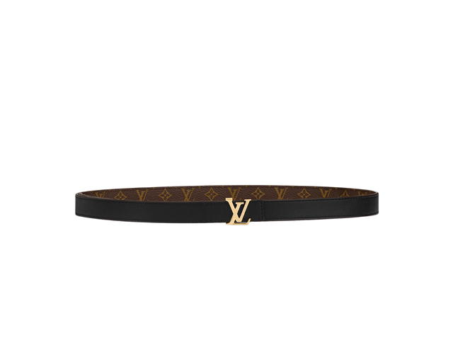 Louis Vuitton Louis Vuitton LV Iconic 20mm Reversible Belt In Monogram Canvas And Leather With Gold-Color Hardware - view 2