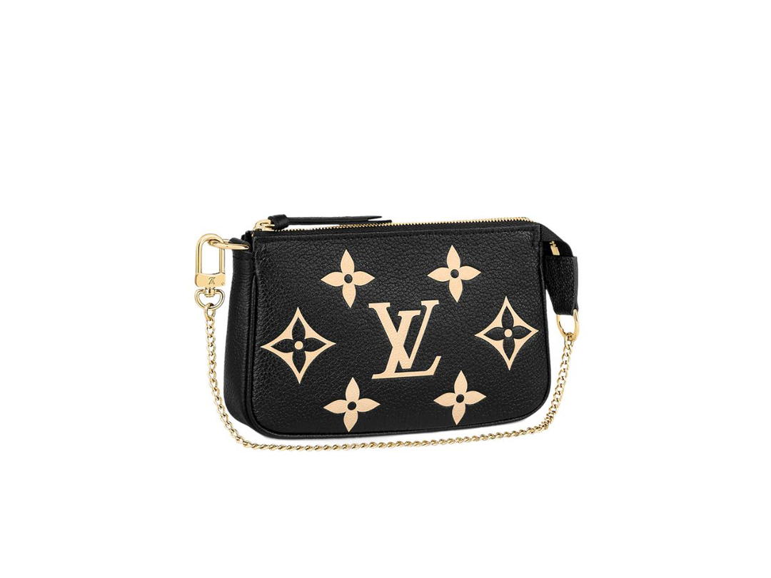 Louis Vuitton Louis Vuitton Mini Pochette