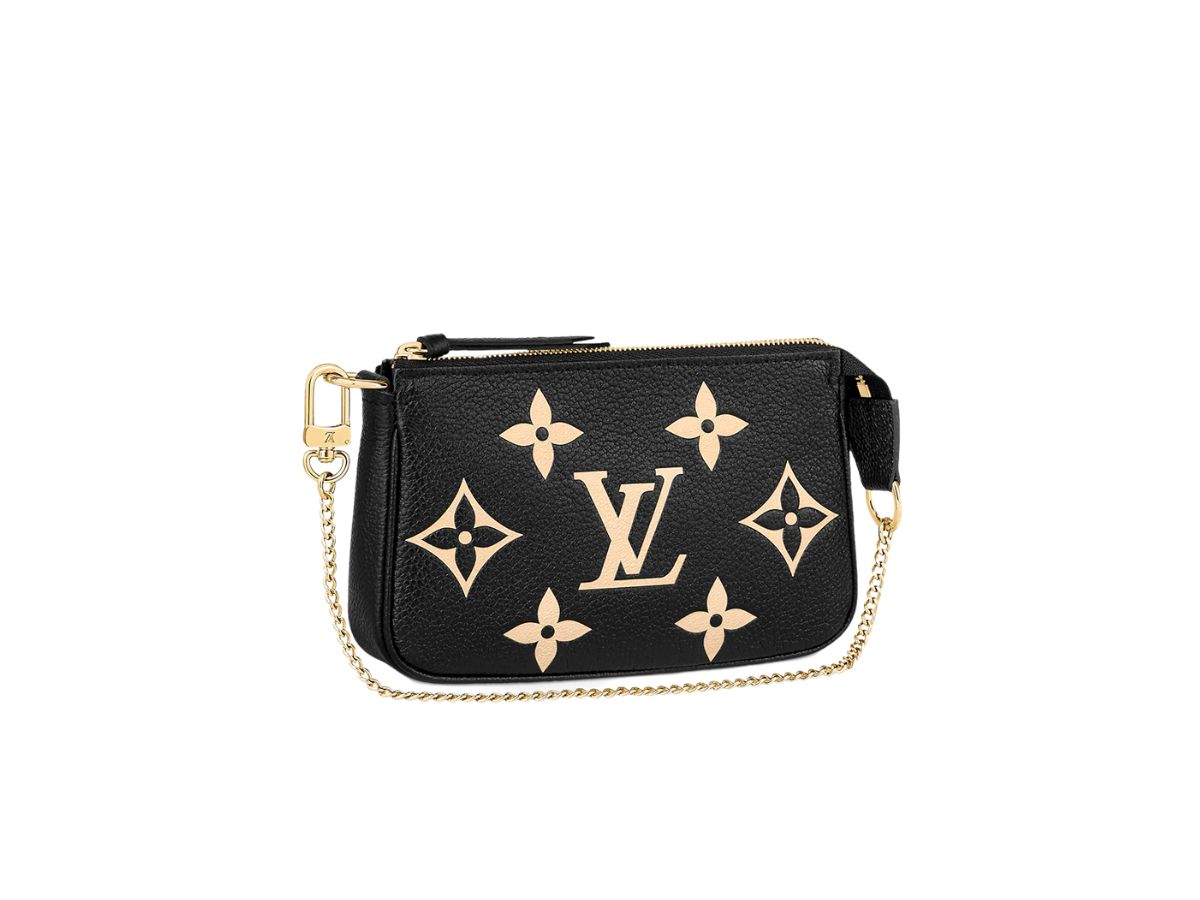 Louis Vuitton Louis Vuitton Mini Pochette