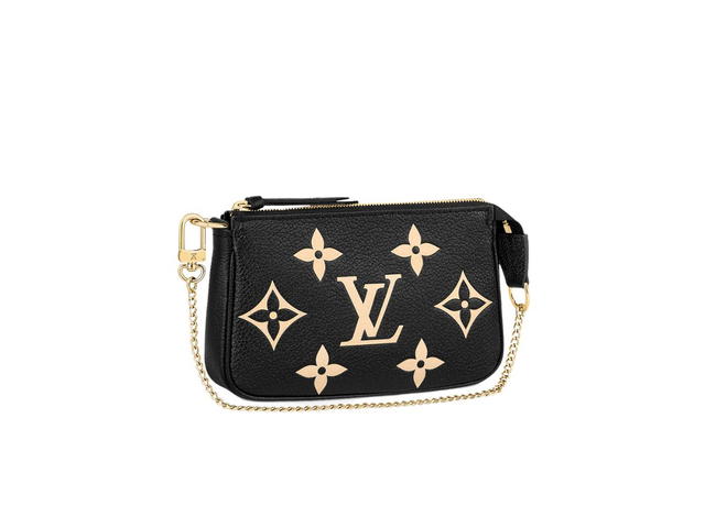 Louis Vuitton Louis Vuitton Mini Pochette - view 1