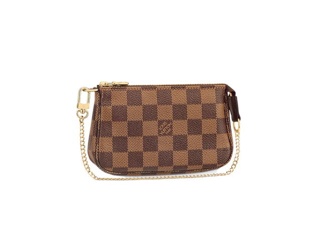 Louis Vuitton Louis Vuitton Mini Pochette - view 1
