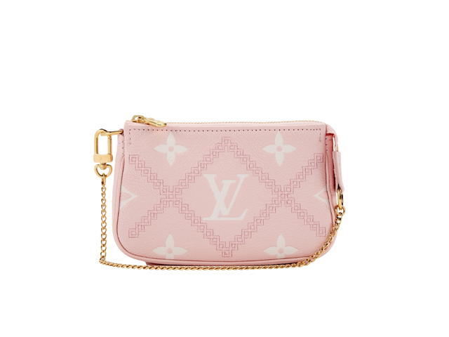 Louis Vuitton Louis Vuitton Pochette Accessoires Mini Pouch - view 1