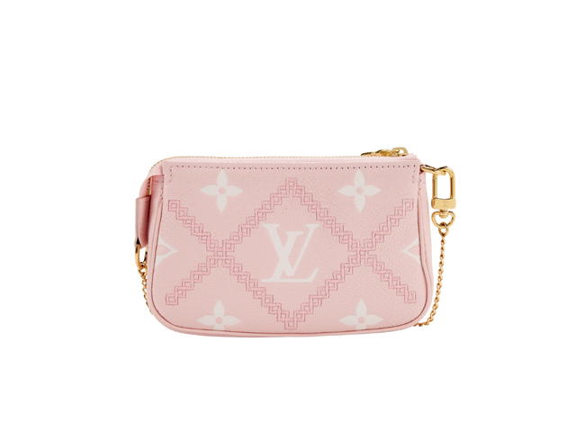 Louis Vuitton Louis Vuitton Pochette Accessoires Mini Pouch - view 2