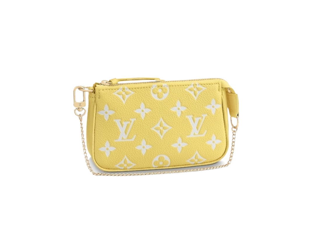 Louis Vuitton Louis Vuitton Pochette Accessoires Mini Pouch