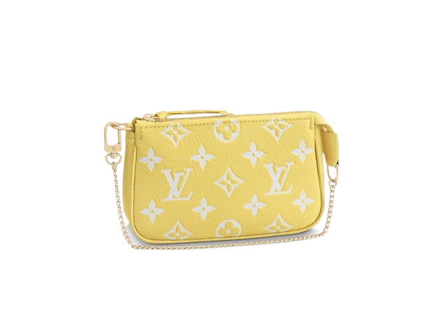 Louis Vuitton Louis Vuitton Pochette Accessoires Mini Pouch - view 1