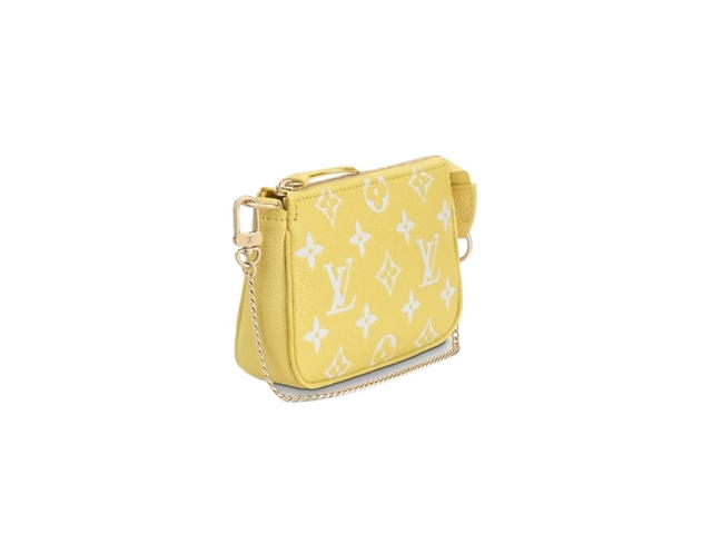 Louis Vuitton Louis Vuitton Pochette Accessoires Mini Pouch - view 2
