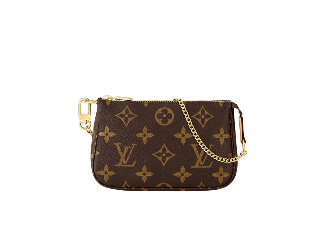 Louis Vuitton Louis Vuitton Pochette Accessoires Mini Pouch
