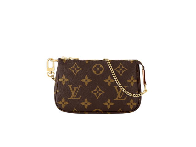 Louis Vuitton Louis Vuitton Pochette Accessoires Mini Pouch - view 1