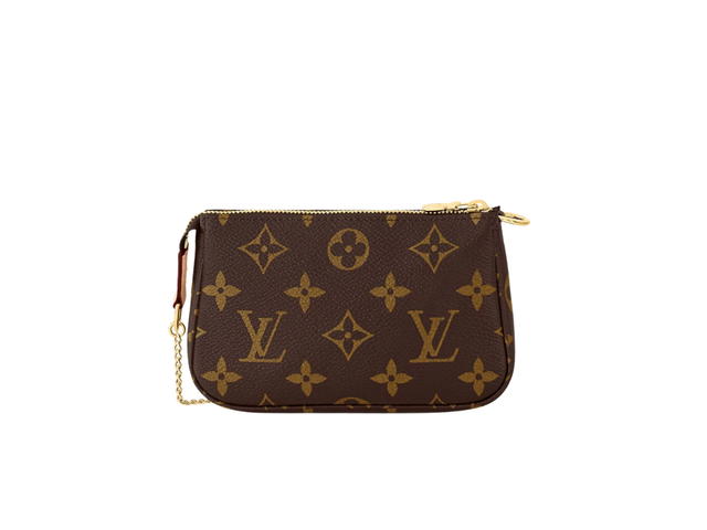 Louis Vuitton Louis Vuitton Pochette Accessoires Mini Pouch - view 3