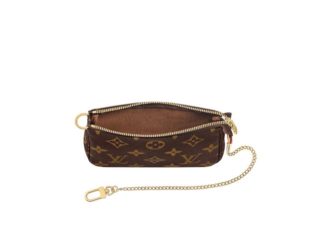Louis Vuitton Louis Vuitton Pochette Accessoires Mini Pouch - view 4