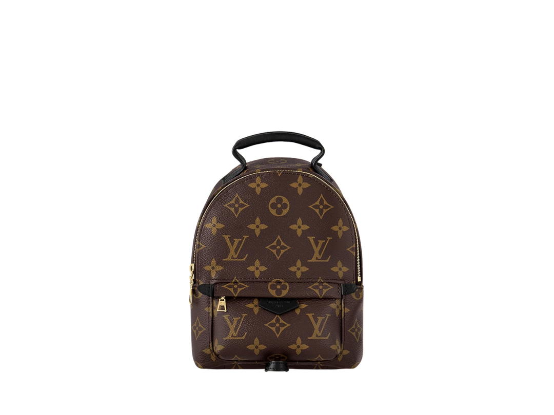 Louis Vuitton Louis Vuitton Palm Springs Mini Backpack