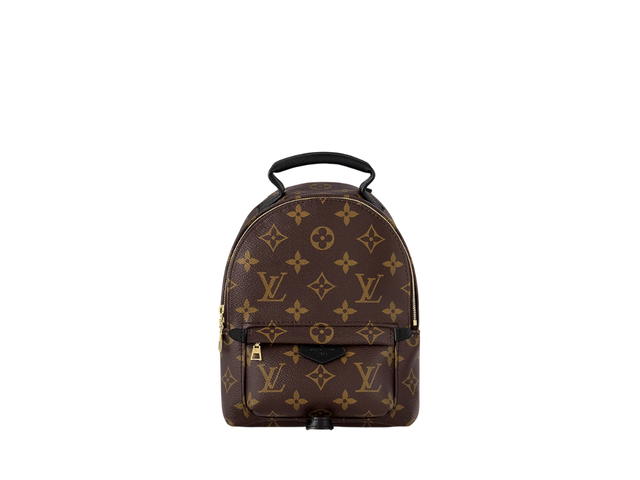 Louis Vuitton Louis Vuitton Palm Springs Mini Backpack - view 1