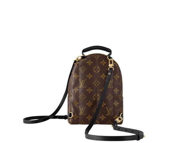 Louis Vuitton Louis Vuitton Palm Springs Mini Backpack - view 2