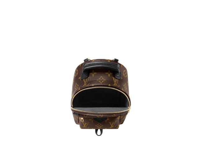 Louis Vuitton Louis Vuitton Palm Springs Mini Backpack - view 3