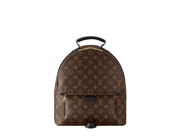 Louis Vuitton Louis Vuitton Palm Springs MM Backpack - view 1