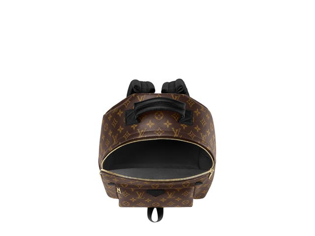 Louis Vuitton Louis Vuitton Palm Springs MM Backpack - view 2