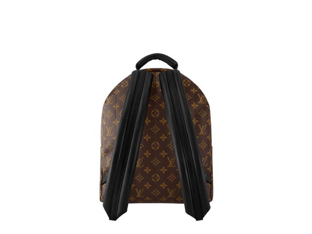 Louis Vuitton Louis Vuitton Palm Springs MM Backpack - view 3