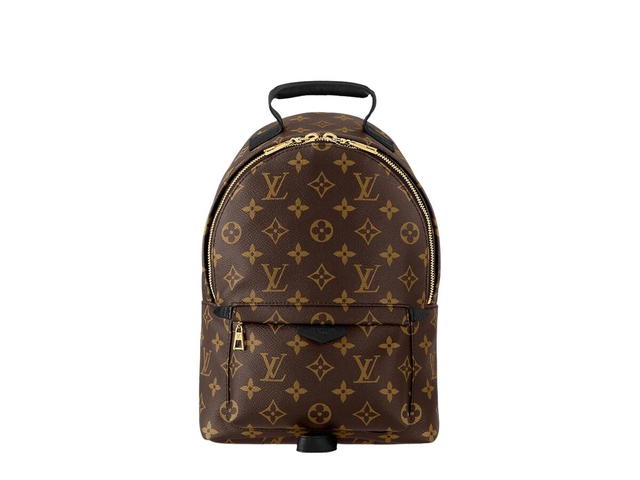 Louis Vuitton Louis Vuitton Palm Springs PM Backpack - view 1