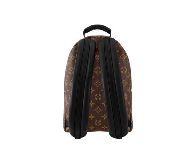 Louis Vuitton Louis Vuitton Palm Springs PM Backpack - view 2