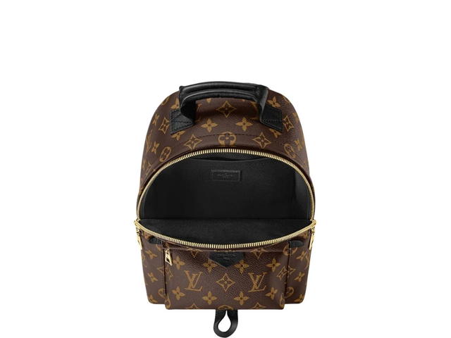 Louis Vuitton Louis Vuitton Palm Springs PM Backpack - view 3