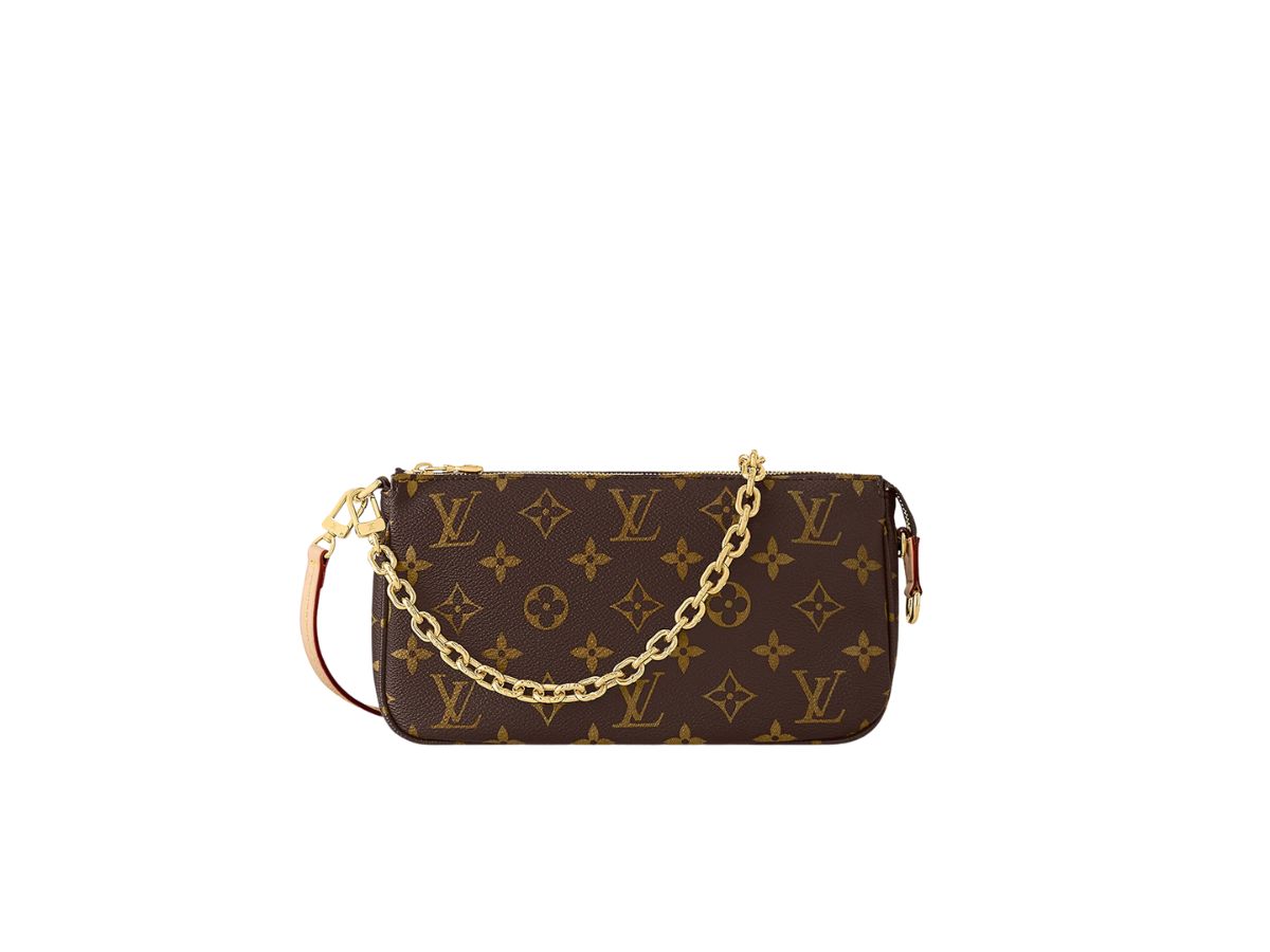 Louis Vuitton Louis Vuitton Pochette