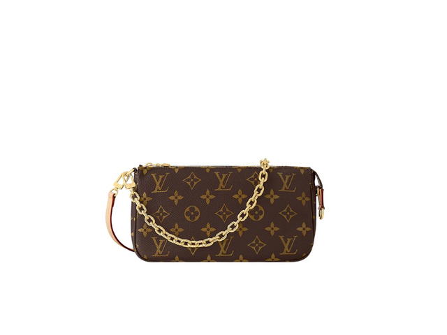 Louis Vuitton Louis Vuitton Pochette - view 1