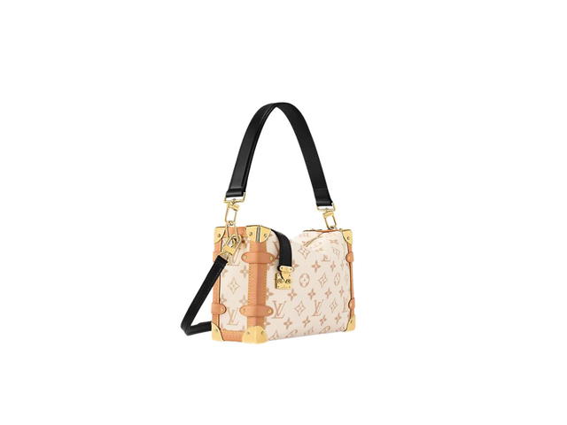 Louis Vuitton Louis Vuitton Side Trunk MM Crossbody Bag - view 2