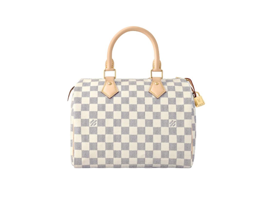 Louis Vuitton Louis Vuitton Speedy 25