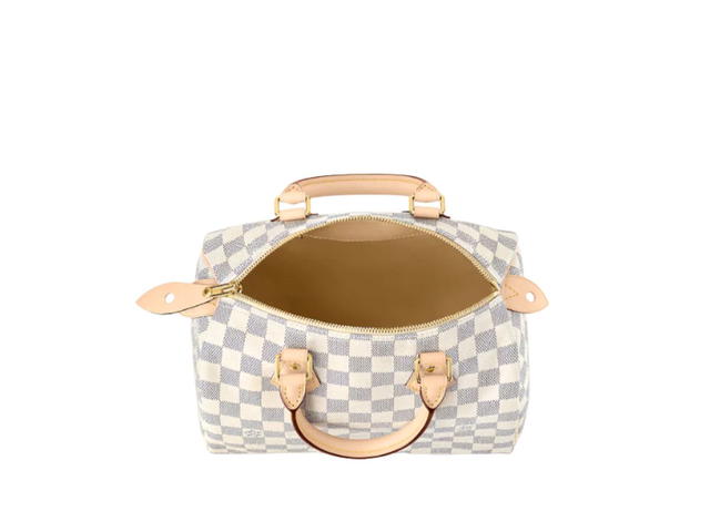 Louis Vuitton Louis Vuitton Speedy 25 - view 3
