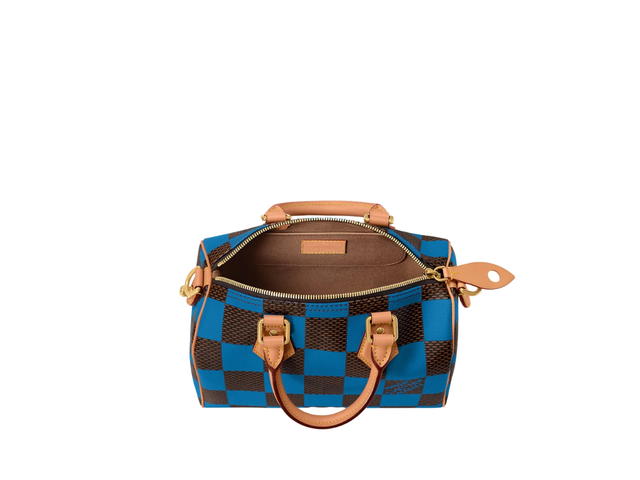Louis Vuitton Louis Vuitton Speedy 25 Bandoulière - view 3
