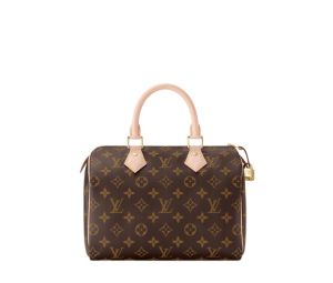 Louis Vuitton Speedy 25 Handbag