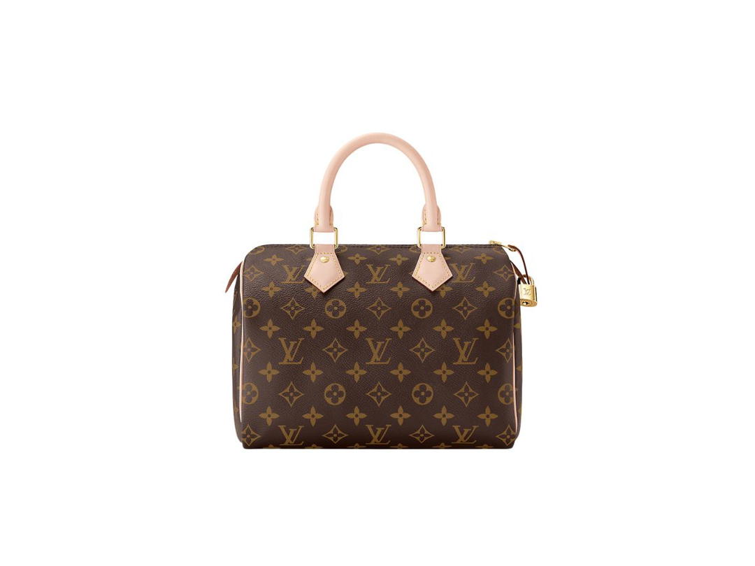 Louis Vuitton Louis Vuitton Speedy 25 Handbag