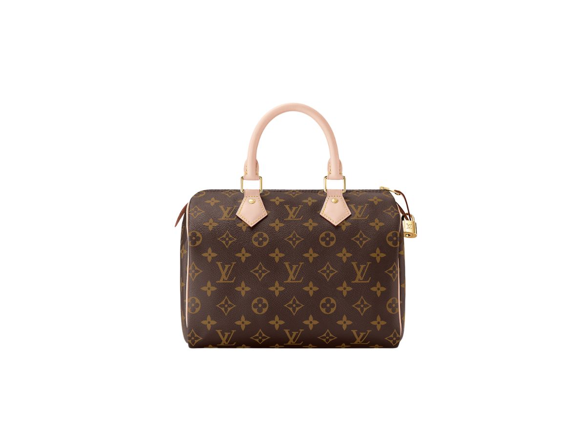 Louis Vuitton Louis Vuitton Speedy 25 Handbag