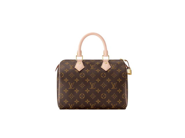 Louis Vuitton Louis Vuitton Speedy 25 Handbag - view 1