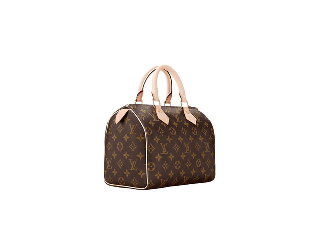 Louis Vuitton Louis Vuitton Speedy 25 Handbag - view 2